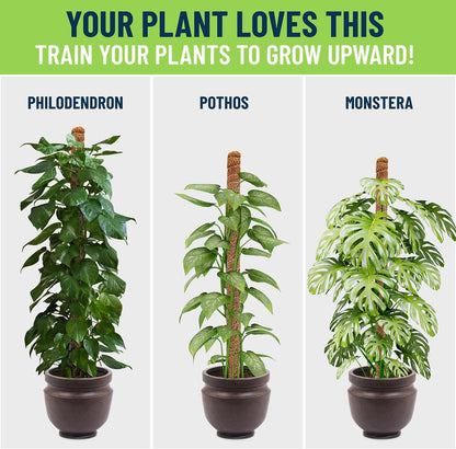 2-Pack Bendable Moss Poles for Monstera & Climbing Plants