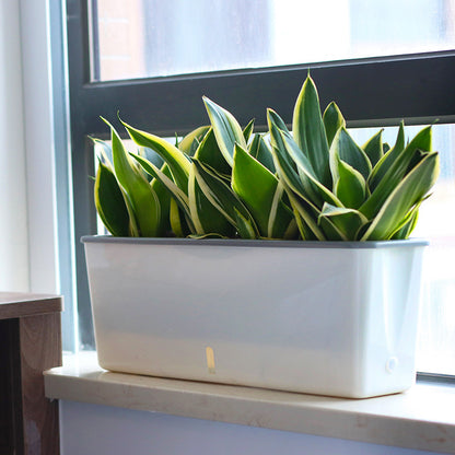 Self-Watering Planter Pot with Built-In Reservoir