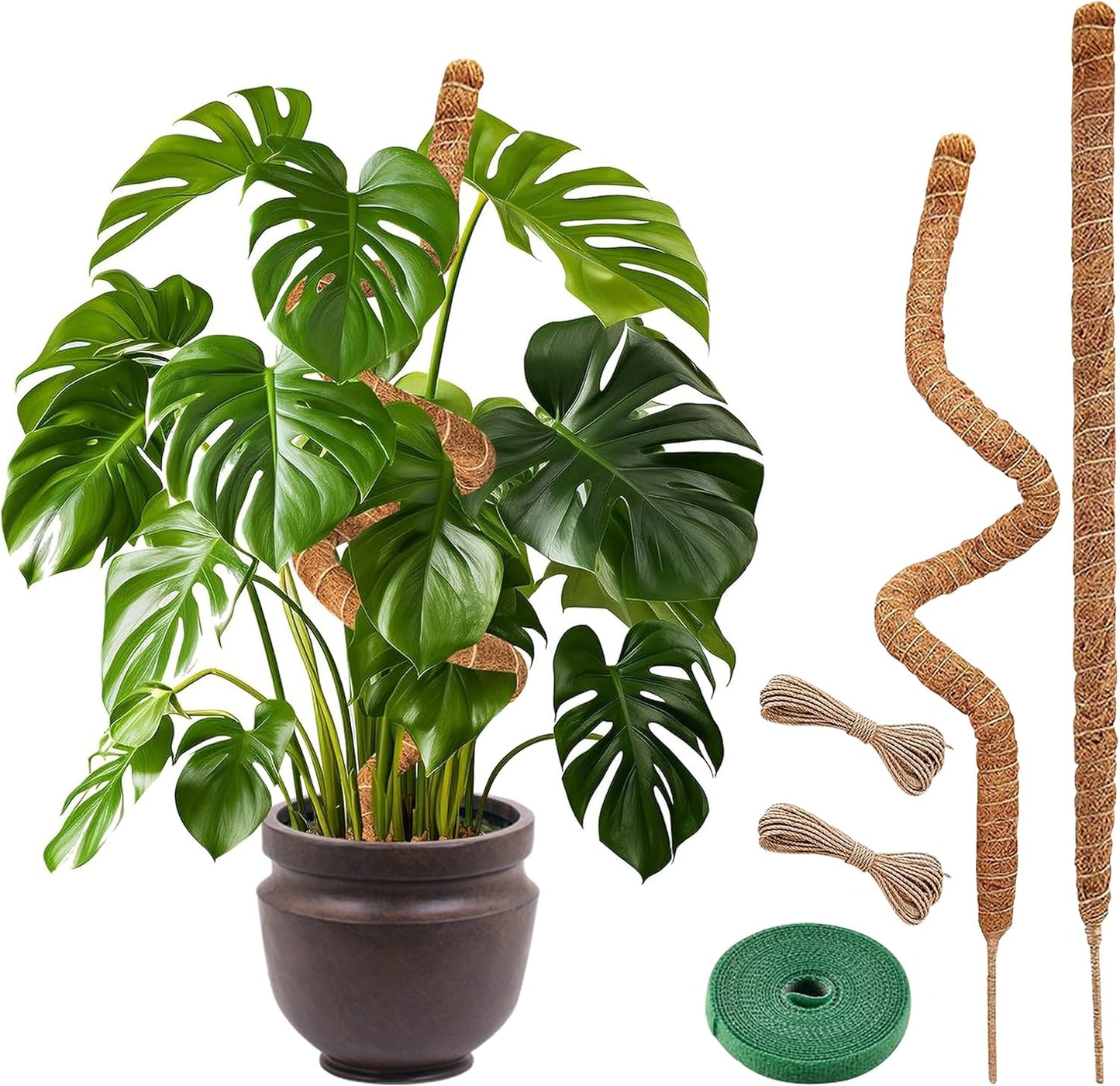 2-Pack Bendable Moss Poles for Monstera & Climbing Plants