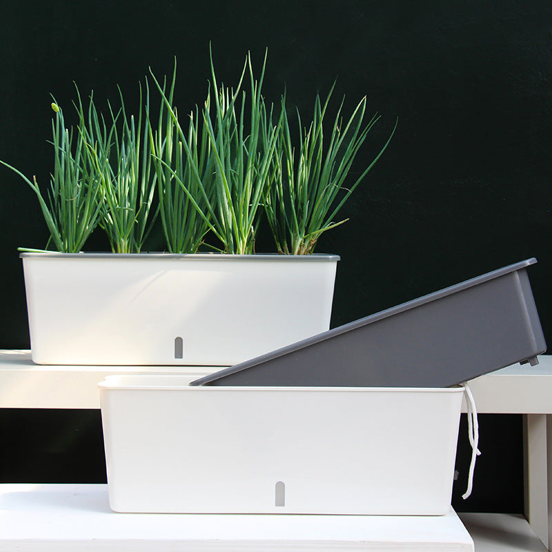 Self-Watering Planter Pot with Built-In Reservoir