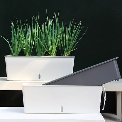 Self-Watering Planter Pot with Built-In Reservoir