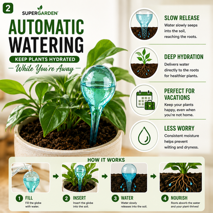 Self-Watering Plant Globes – 10 Piece Set