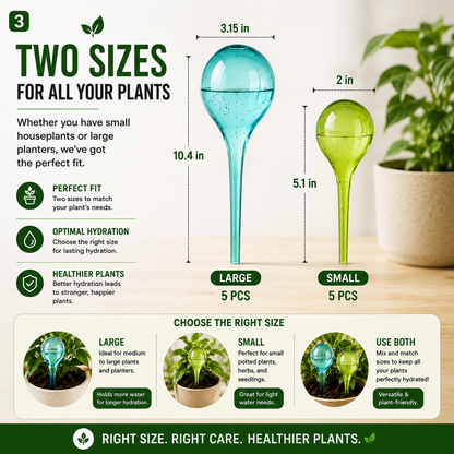 Self-Watering Plant Globes – 10 Piece Set