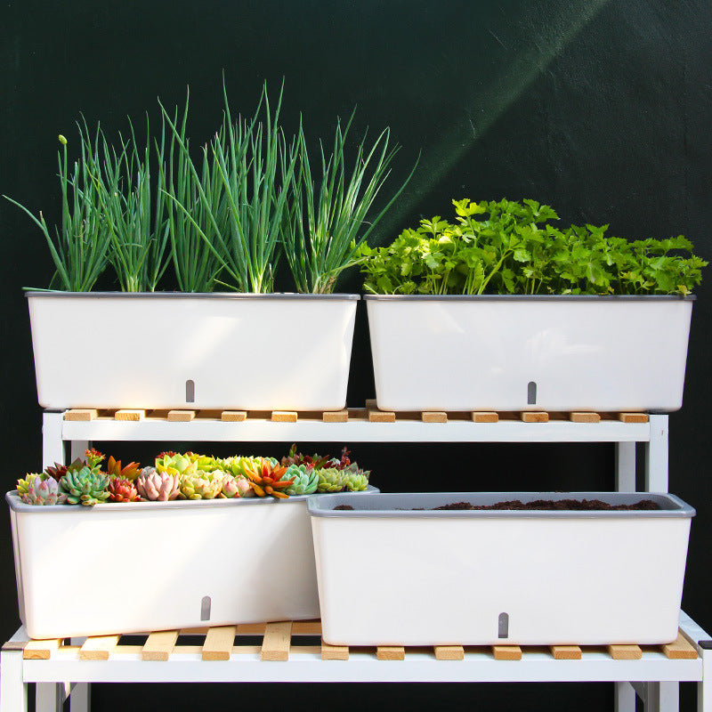 Self-Watering Planter Pot with Built-In Reservoir