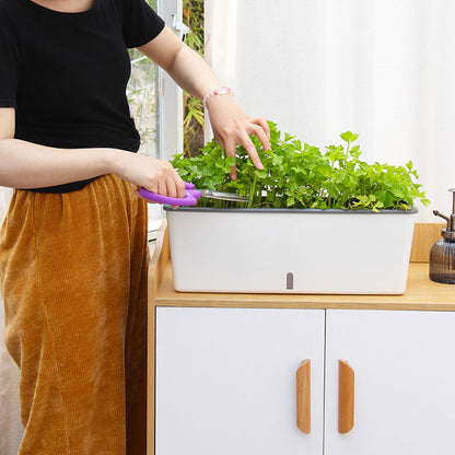 Self-Watering Planter Pot with Built-In Reservoir